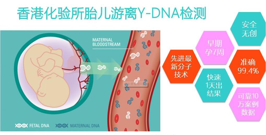 如何去香港验血测性别?