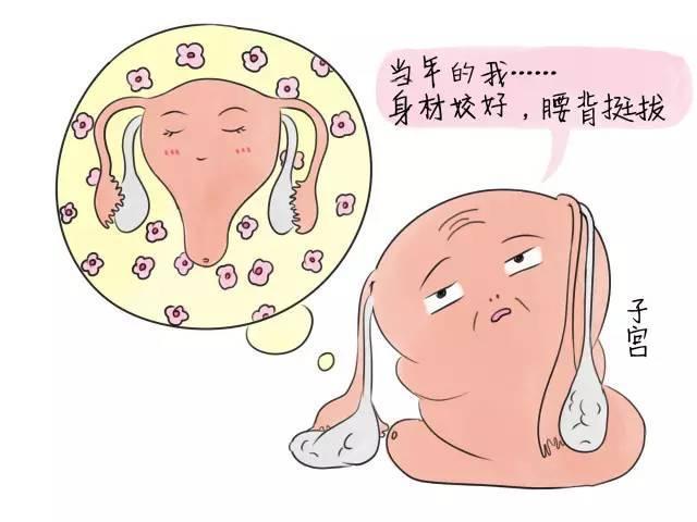 子宫有萎缩现象能怀孕吗.jpg