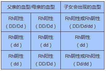 稀有血型的遗传.jpg