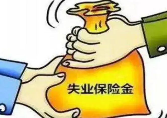 孕妇失业金领取条件及标准.png