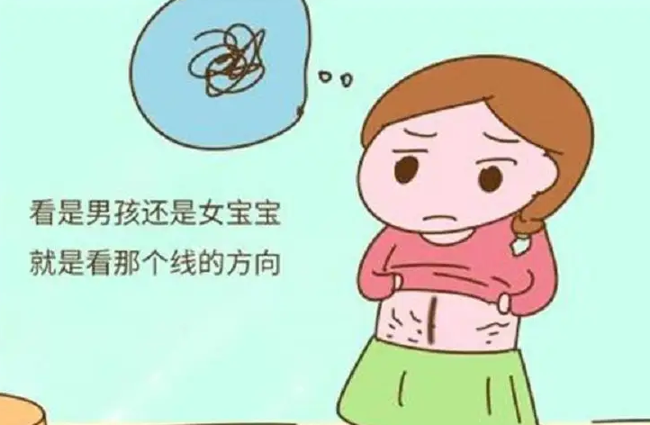 生男生女跟孕期反应有关系吗.png