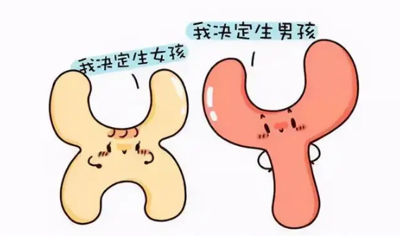 孕囊大小判断性别准吗