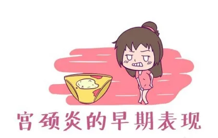 怀孕宫颈炎有什么症状.png