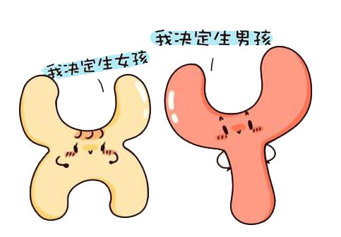 几个月可以查男宝女宝,关于胎动与是男是女传言有哪些.jpg