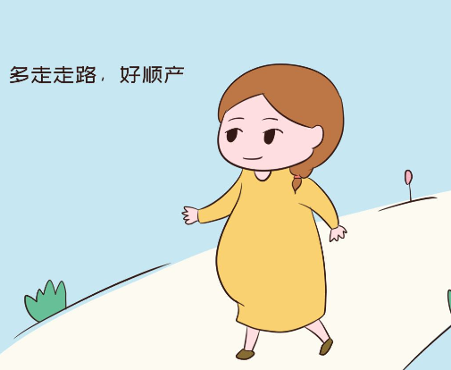 双胞胎如何知道男女, 怀双胞胎要注意些什么.png