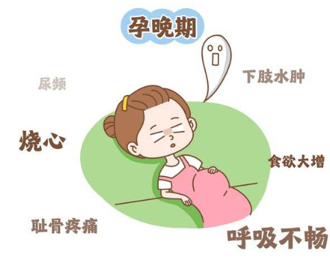 孕吐严重吃什么,怀孕要注意些什么.png