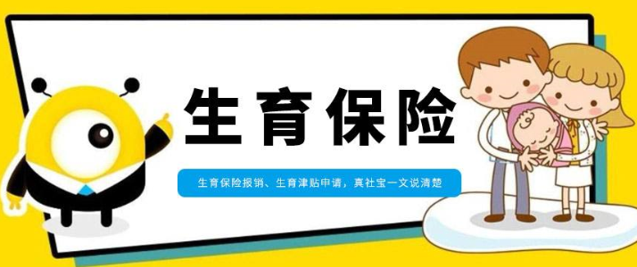 生育险交满一年是怎么算的, 生孩子交了生育险怎么去报销.png