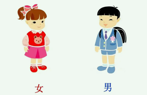 检查男宝女宝,怀孕几个月比较准确.png