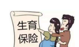 怀孕了究竟怎么启动生育险呢,怎么申请生育险.png