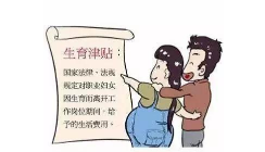 怀孕辞职还可以领生育津贴吗,生育津贴有何意义.png