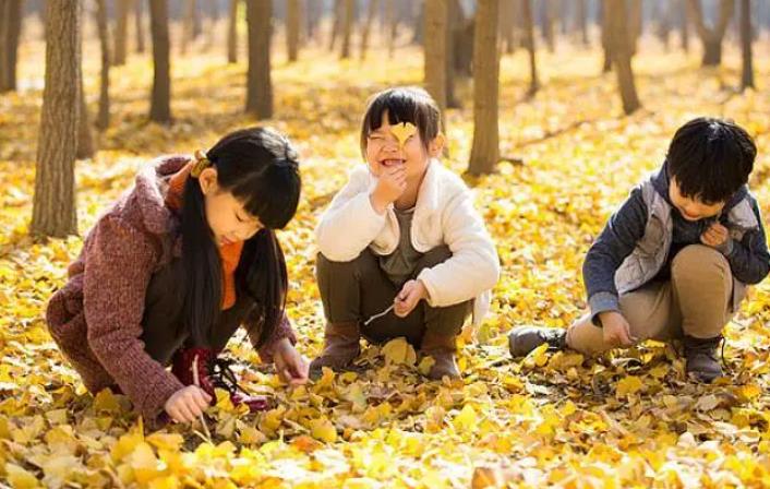 调整生活习惯是否可以提高生女孩的几率？为何有人相信调整生活习惯能生女孩呢？.jpg