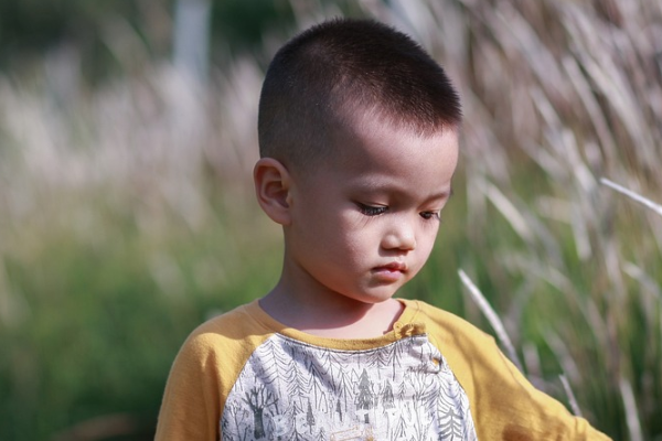 刚怀孕如何判断是儿是女.png